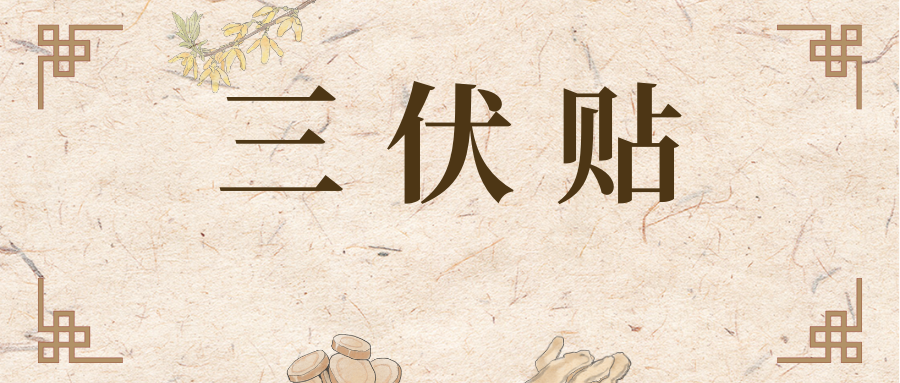 永鼎中医丨6月11日，苏州永鼎医院三伏贴活动火热来袭，冬病夏治正当时！