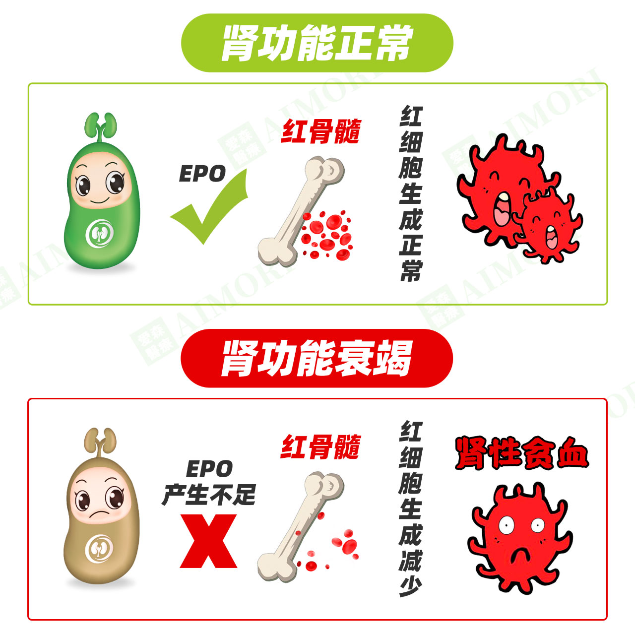 50%的透析肾友都有贫血！这4点注意不到怎么可能好转！