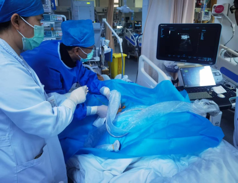 1769229827580345.png 1769229827580345.png