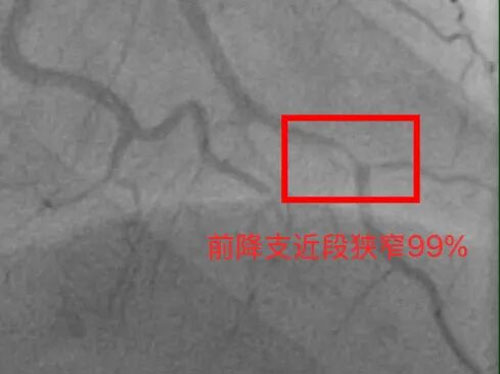 1770973254662730.jpg 1770973254662730.jpg